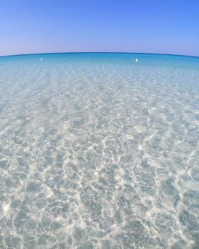 Blu dea
